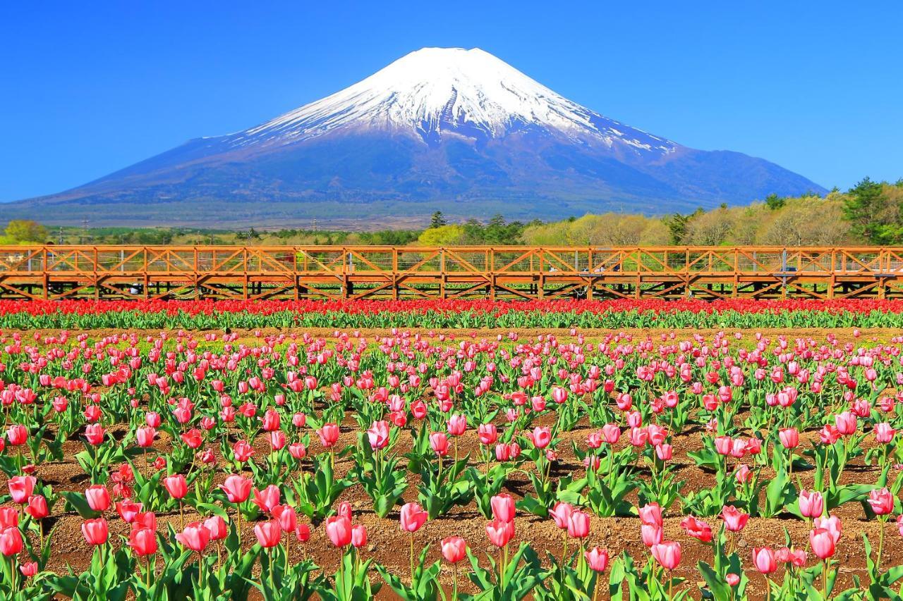 Hatago Sakuraya Яманакако Экстерьер фото